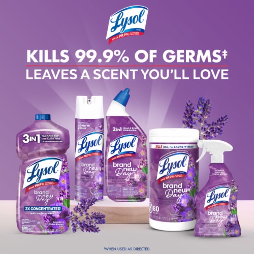 Lysol® Brand New Day™ All Purpose Cleaner Lavender & Cotton Blossom Perspective: bottom