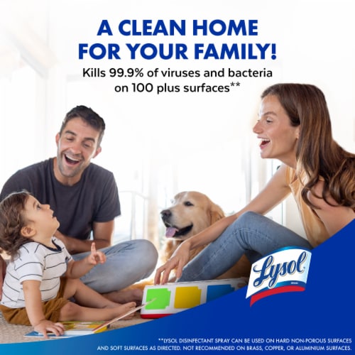 Lysol Disinfectant Spray Crisp Linen Perspective: bottom