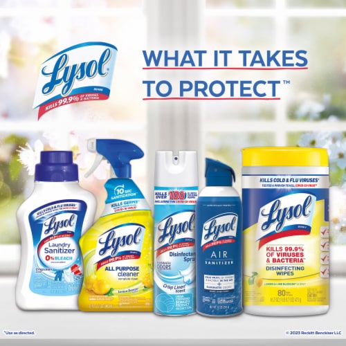 Lysol® Dual Action Citrus Disinfecting Wipes Perspective: bottom