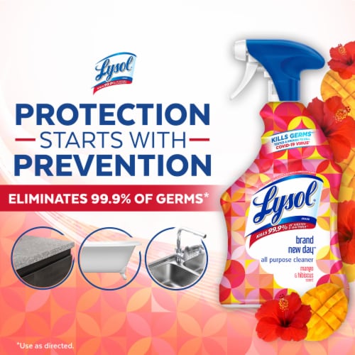 Lysol Brand New Day Bathroom Cleaning Spray Mango and Hibiscus Perspective: bottom