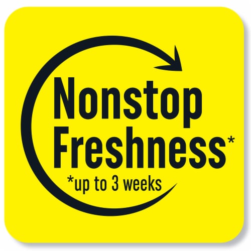 Renuzit® Forever Raspberry® Air Freshener Perspective: bottom