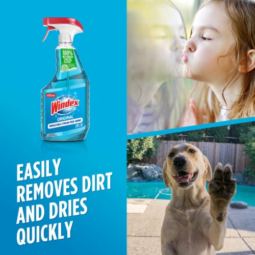 Windex® Glass Cleaner Original Blue Spray Bottle Perspective: bottom