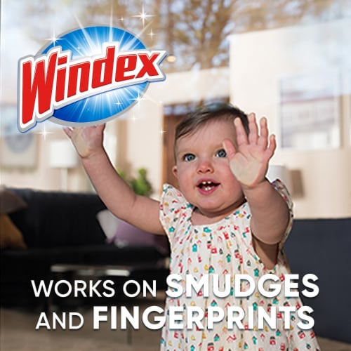 Windex Glass Cleaner with Ammonia-D Floral 640 oz. (696502) 629927 Perspective: bottom