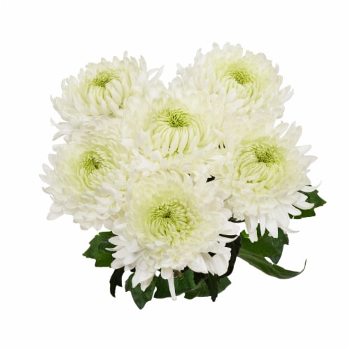 Disbud Flower Bouquet Perspective: bottom
