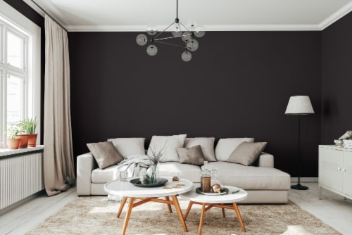 Rust-Oleum® SureColor® Interior Eggshell Paint & Primer - Black Perspective: bottom