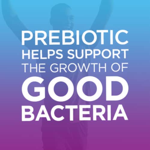 Digestive Advantage Prebiotic Fiber Plus Probiotic Digestive Health Gummies 48 Count Perspective: bottom