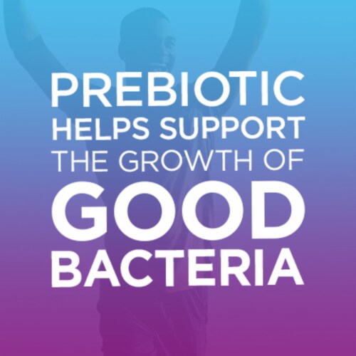 Digestive Advantage Prebiotic Fiber Plus Probiotic Digestive Health Gummies 48 Count Perspective: bottom