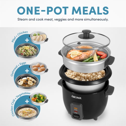 Aroma Pot Style Rice Cooker Comes With Two Spoons