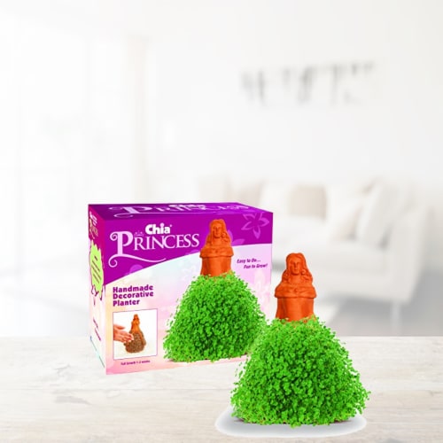 Chia Princess Perspective: bottom