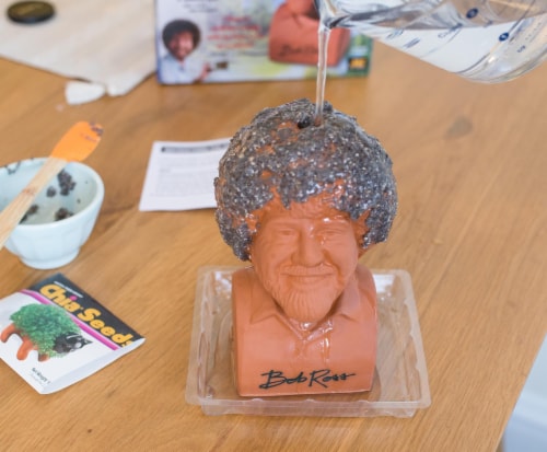 Converted my Bob Ross Chia pet into a planter : r/succulents