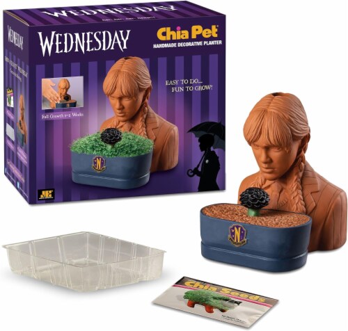 Wednesday Chia Pet Perspective: bottom