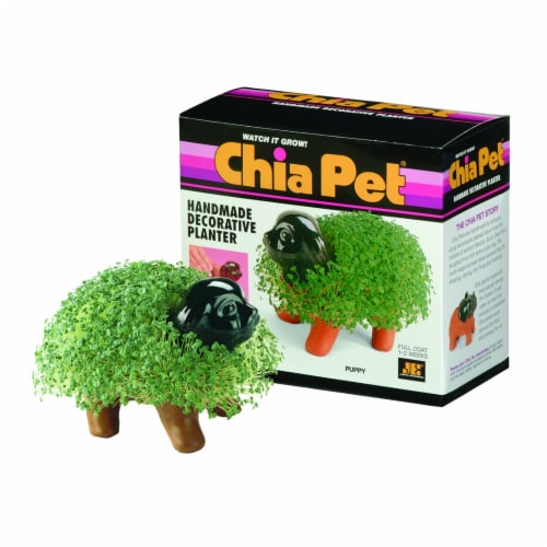 Chia Pet Handmade Decorative Planter Perspective: bottom