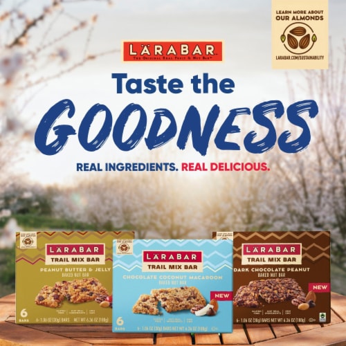 Larabar Chocolate Coconut Macaroon Trail Mix Baked Nut Bars Perspective: bottom