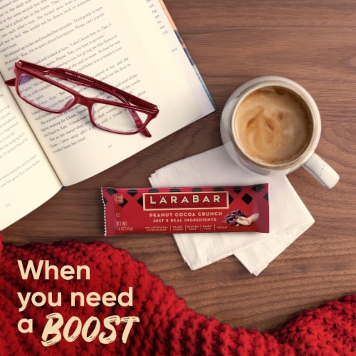 Larabar Peanut Cocoa Crunch Fruit and Nut Bars Perspective: bottom
