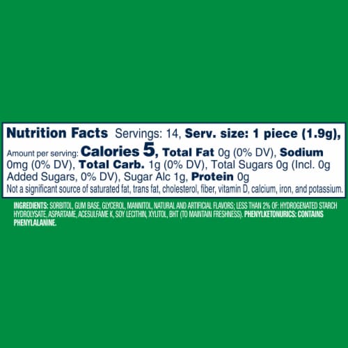 Orbit Gum Spearmint Sugar Free Chewing Gum Single Pack Perspective: bottom