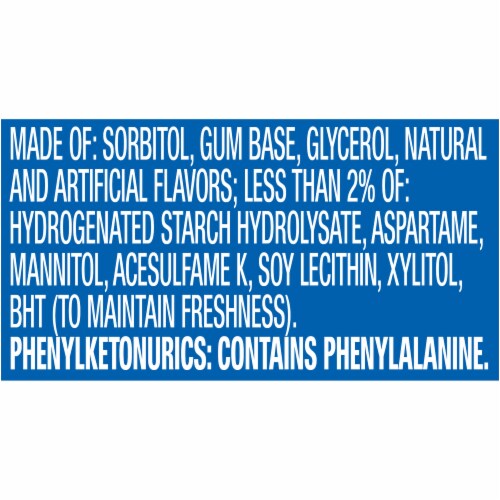 Orbit Peppermint Sugar Free Chewing Gum Bulk Pack Perspective: bottom