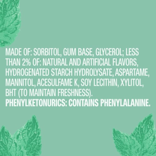 Orbit Sweet Mint Sugar Free Chewing Gum Perspective: bottom