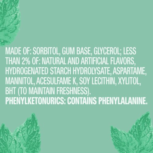 Orbit Sweet Mint Sugar Free Chewing Gum Perspective: bottom