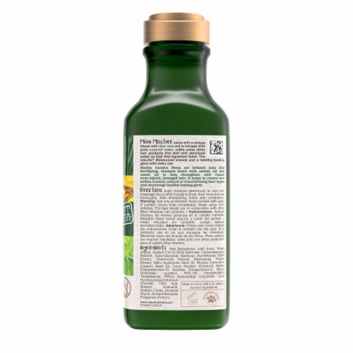 Thicken & Restore + Bamboo Fibers Shampoo Perspective: bottom