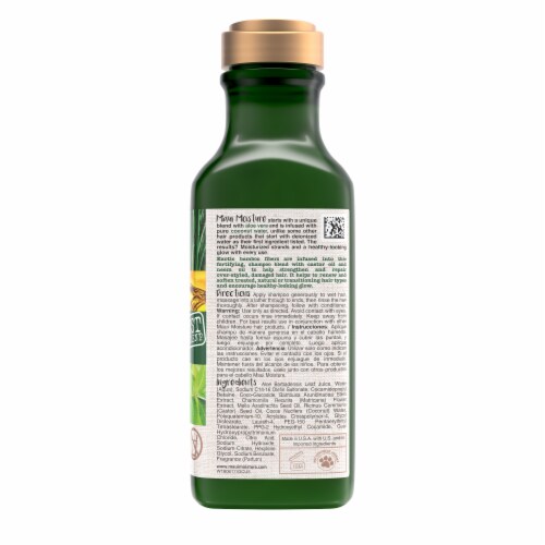 Thicken & Restore + Bamboo Fibers Shampoo Perspective: bottom