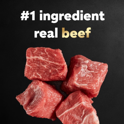 Cesar Filet Mignon & Spring Vegetables Small Breed Adult Dry Dog Food Perspective: bottom