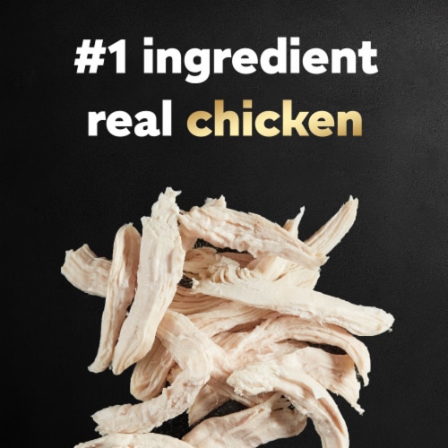 Cesar® Rotisserie Chicken Flavor Small Breed Adult Dry Dog Food Perspective: bottom