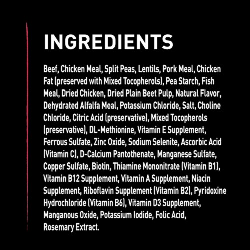 Crave Grain Free Beef Dry Dog Food Perspective: bottom