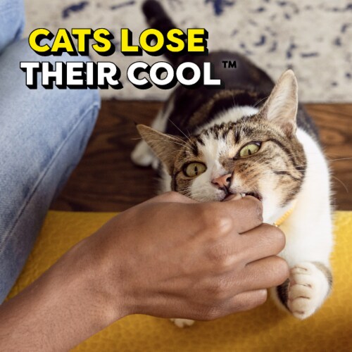 Temptations Tender Fills Grilled Salmon Flavor Crunchy and Soft Adult Cat Treats Perspective: bottom