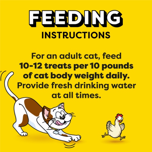 TEMPTATIONS Meaty Bites Chicken Flavor Soft and Savory Adult Cat Treats Perspective: bottom