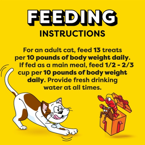 Temptations Birthday Crunchy and Soft Cat Treats Beef & Lobster Flavor Perspective: bottom