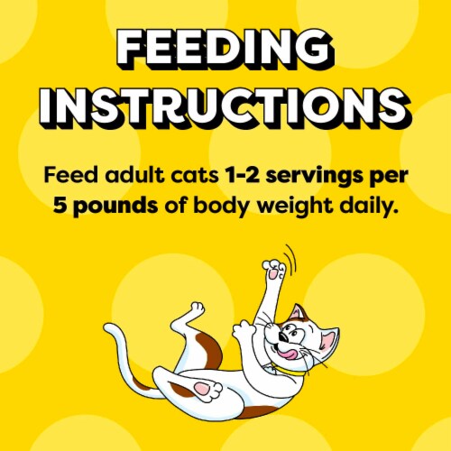Temptations Bites in Gravy Tasty Chicken Flavor Adult Wet Cat Food Perspective: bottom
