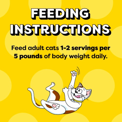 Temptations Paté in Gravy Tasty Chicken Flavor Adult Wet Cat Food Perspective: bottom