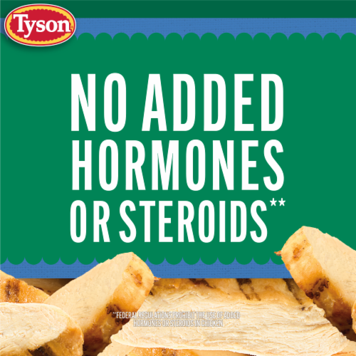 Tyson® Grilled & Ready® Fully Cooked Grilled Chicken Breast Strips Perspective: bottom