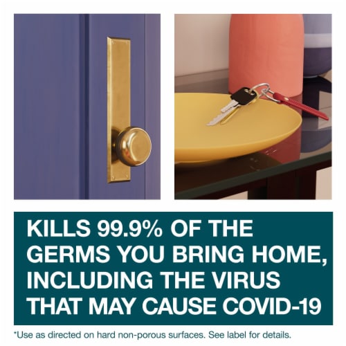 Family Guard™ Disinfectant Spray Citrus Perspective: bottom