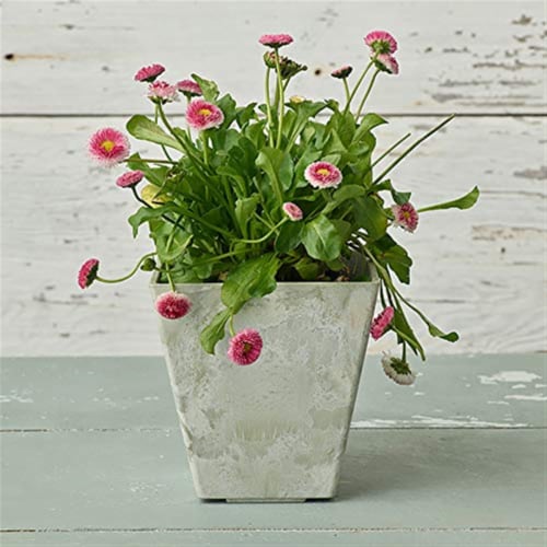 Novelty Artstone 8 x 7.81 in. Mint Resin & Stone Powder Ella Flower Pot Perspective: bottom