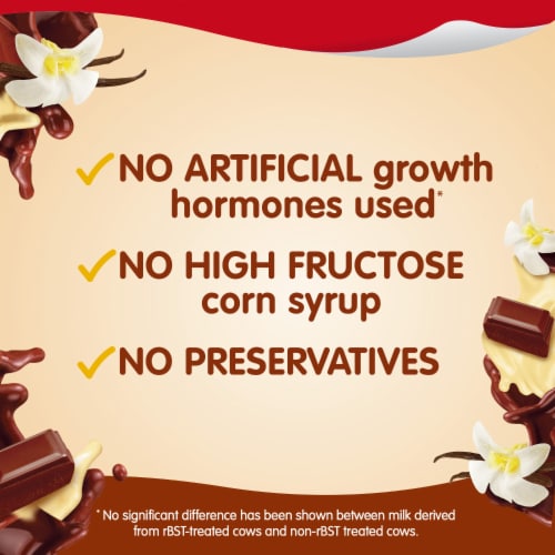 Snack Pack Chocolate Vanilla Flavored Pudding Cups Perspective: bottom
