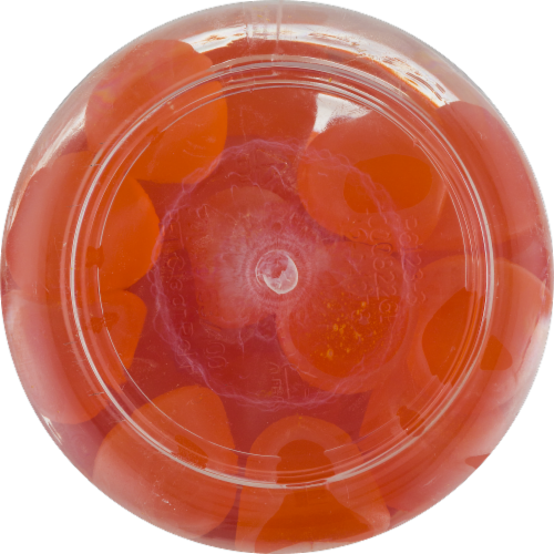 Sundown Naturals Co Q-10 Peach Mango Flavored Gummies Perspective: bottom