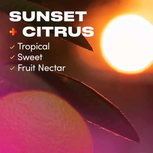 Downy Unstopables Fusions Sunset & Citrus In-Wash Scent Booster Perspective: bottom