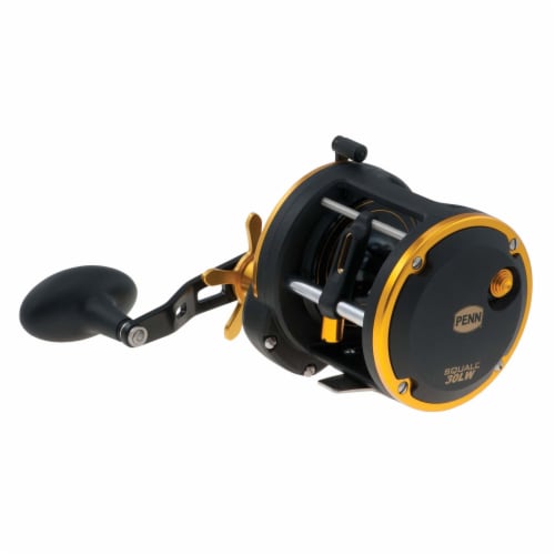 Penn SQL30LW2050C66 Squall Levelwind Saltwater Trolling Fishing Reel & Rod  Combo, 1 Piece - Kroger