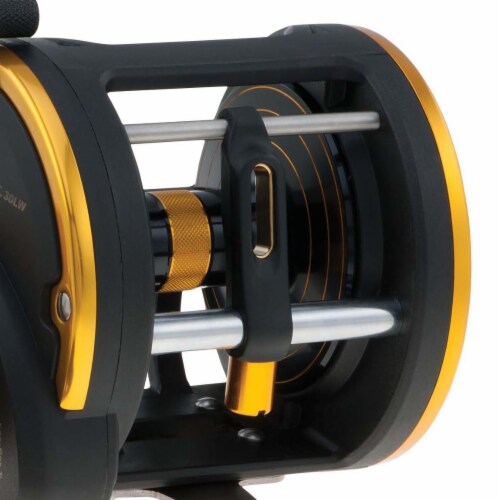 Penn SQL20LW Squall Levelwind Saltwater Fish Trolling Fishing Reel, Black &  Gold, 1 Piece - Ralphs