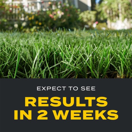 Scotts® Lawns Turf Builder® Triple-Action Fertilizer 4M Coverage Perspective: bottom