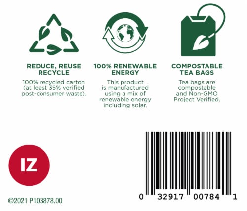 Traditional Medicinals® Immune Zoom® Organic Lemon Ginger Tea Bags Perspective: bottom