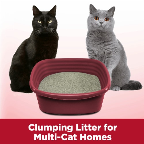 Arm & Hammer Odor Sealing Multi-Cat with Odor Blasters Clump & Seal Litter Perspective: bottom