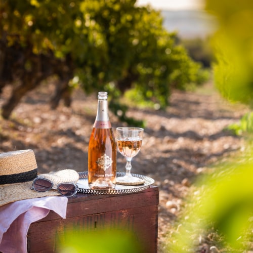Segura Viudas Brut Rose Brut Perspective: bottom