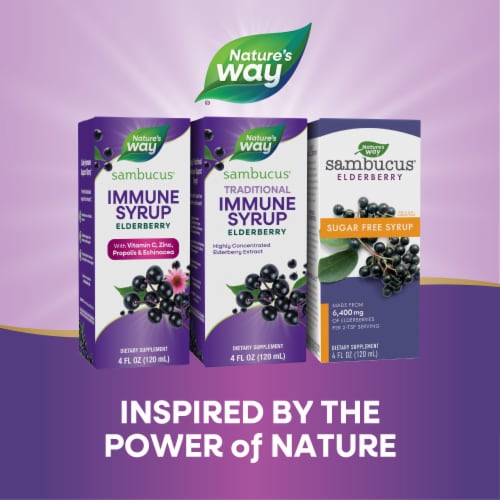 Nature’s Way Sambucus Traditional Immune Concentrated Black Elderberry Extract Berry Flavored Syrup Perspective: bottom