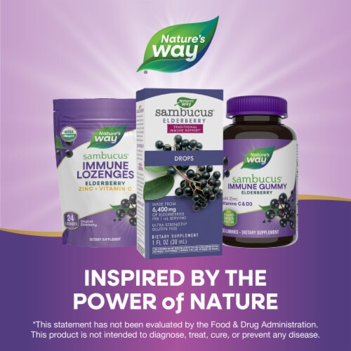 Nature's Way Sambucus Elderberry Ultra Strength Traditional Immune Drops Perspective: bottom