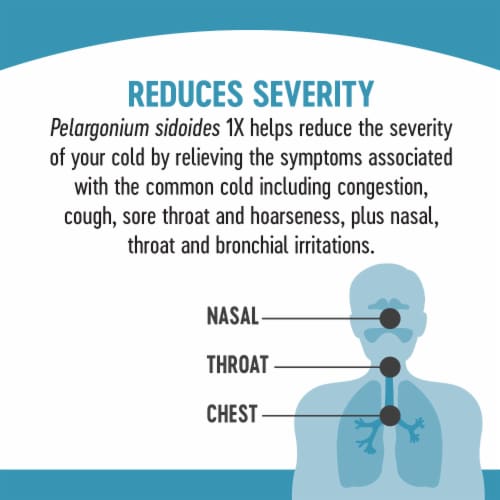 Nature's Way Umcka Cold Care Day & Night Lemon Citrus Flavored Packets Perspective: bottom