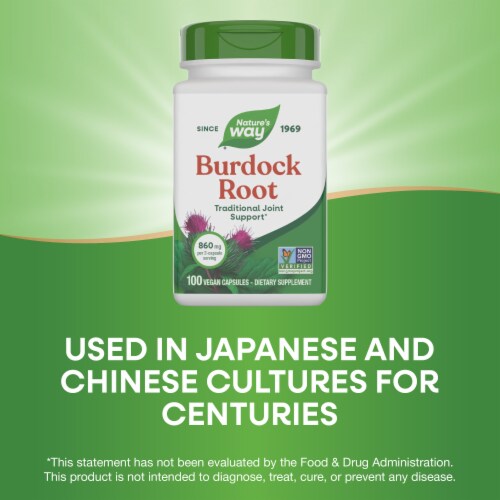 Nature's Way Burdock Root Traditional Joint Support Vegan Capsules 860 mg Per 2 Capsule Serving Perspective: bottom