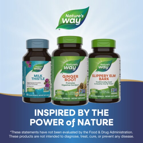 Nature's Way Ginger Root Promotes Digestive Comfort Capsules 1100 mg Per 2 Capsule Serving Perspective: bottom