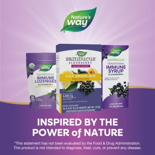 Nature's Way Sambucus Soothing Elderberry Hot Drink Mix Packets Perspective: bottom